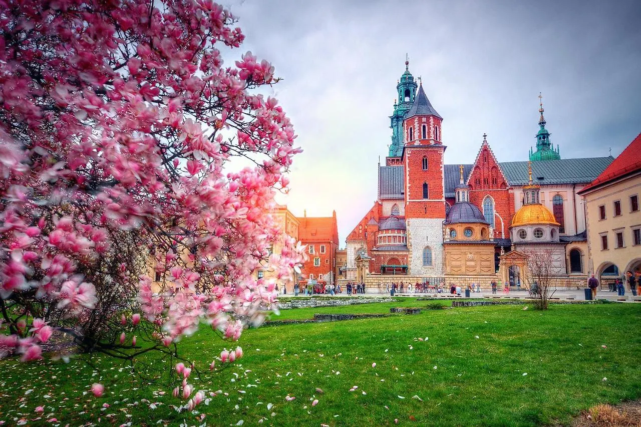 Designomania Apartments - Grzegorzecka 69 D Krakow 0*,  Poland
